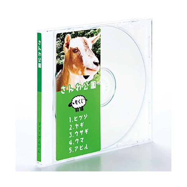 (まとめ) サンワサプライインクジェットDVD/CDラベル 内径41mm スーパーファイン つやなしマット LB-CDRJPN1パック(20ラベル:10シート) (×10セット)