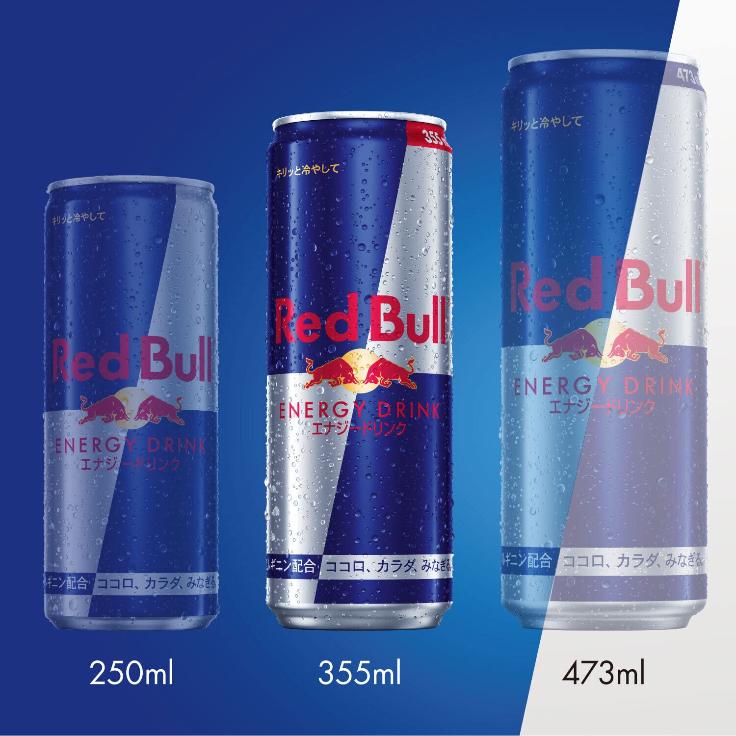 Red Bull レッドブル エナジードリンク 355ml×24本