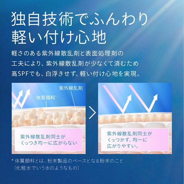Qoo10] アネッサ パーフェクトUV／ブラッシュオンパウダー