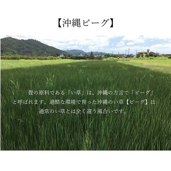 1050681313904 ラグ マット 長方形 い草 夏用 沖縄ビーグ カーキ 191×250cm メーカー直送 1050681313904 ラグ マット 長方形 い草 夏用 沖縄ビーグ カーキ 191×250cm メーカー直送