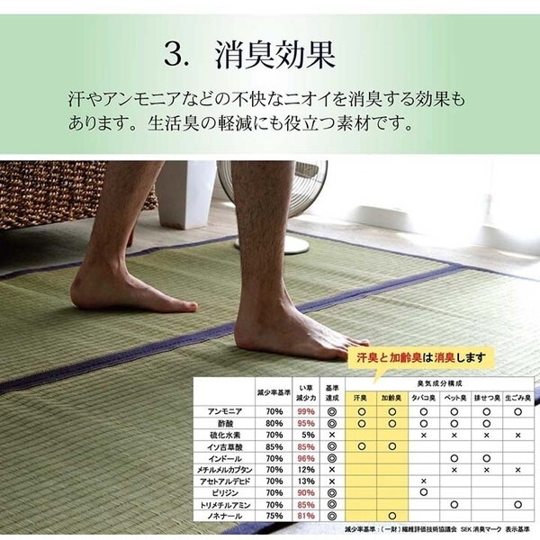 1050681313904 ラグ マット 長方形 い草 夏用 沖縄ビーグ カーキ 191×250cm メーカー直送 1050681313904 ラグ マット 長方形 い草 夏用 沖縄ビーグ カーキ 191×250cm メーカー直送