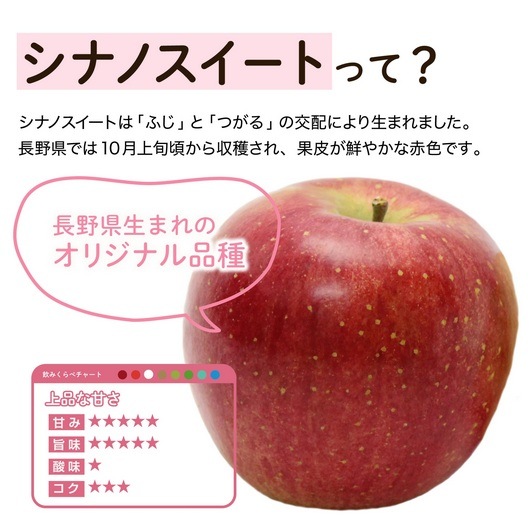 長野興農 信州 シナノスイート りんごジュース 30缶 (160g/缶 6P×5) お土産 長野興農 信州 シナノスイート りんごジュース 30缶 (160g/缶 6P×5) お土産