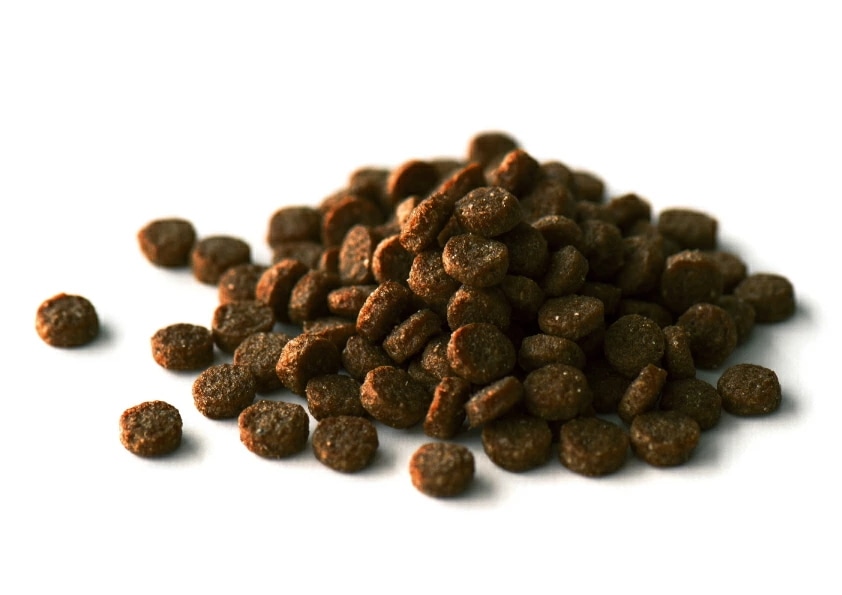 KiaOra DOG ラム＆レバー 9.5Kg