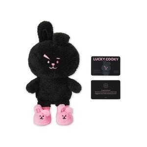 BT21  Lucky COOKY DOLL  STICON SET