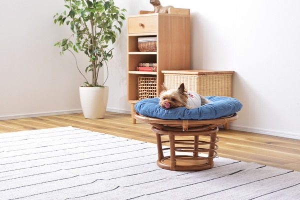 ペットも人も座れるラタンのペットスツール 北欧 インダストリアル スツール ステップ ペット リビング ダイニング ペットも人も座れるラタンのペットスツール 北欧 インダストリアル スツール ステップ ペット リビング ダイニング