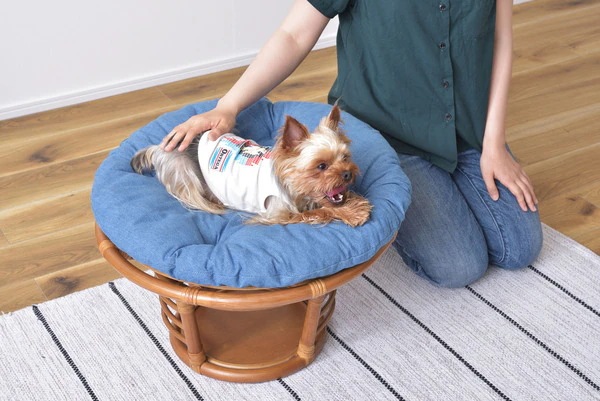 ペットも人も座れるラタンのペットスツール 北欧 インダストリアル スツール ステップ ペット リビング ダイニング ペットも人も座れるラタンのペットスツール 北欧 インダストリアル スツール ステップ ペット リビング ダイニング