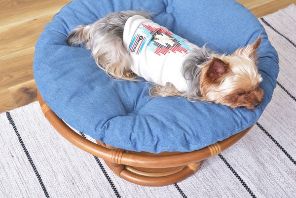 ペットも人も座れるラタンのペットスツール 北欧 インダストリアル スツール ステップ ペット リビング ダイニング ペットも人も座れるラタンのペットスツール 北欧 インダストリアル スツール ステップ ペット リビング ダイニング