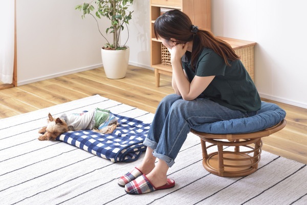 ペットも人も座れるラタンのペットスツール 北欧 インダストリアル スツール ステップ ペット リビング ダイニング ペットも人も座れるラタンのペットスツール 北欧 インダストリアル スツール ステップ ペット リビング ダイニング