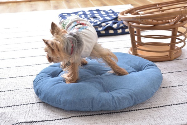 ペットも人も座れるラタンのペットスツール 北欧 インダストリアル スツール ステップ ペット リビング ダイニング ペットも人も座れるラタンのペットスツール 北欧 インダストリアル スツール ステップ ペット リビング ダイニング