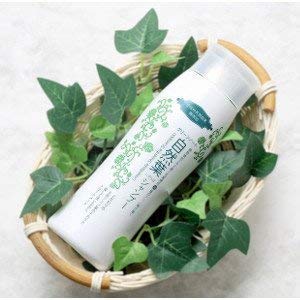 グリーンノート 自然葉シャンプー 300ml×2本セット グリーンノート 自然葉シャンプー 300ml×2本セット