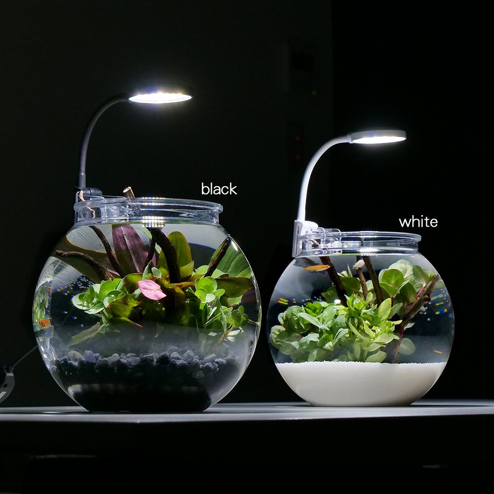 （めだか）（水草）お手軽メダカリウムセット　Ｓ　ブラック　説明書付き　本州四国限定　ＣＲＣ10―11―03―10―10