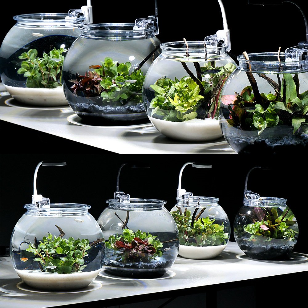 （めだか）（水草）お手軽メダカリウムセット　Ｓ　ブラック　説明書付き　本州四国限定　ＣＲＣ10―11―03―10―10