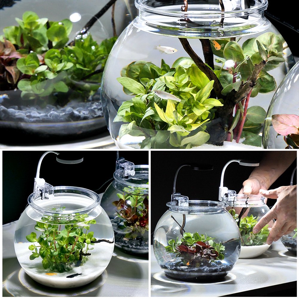 （めだか）（水草）お手軽メダカリウムセット　Ｓ　ブラック　説明書付き　本州四国限定　ＣＲＣ10―11―03―10―10