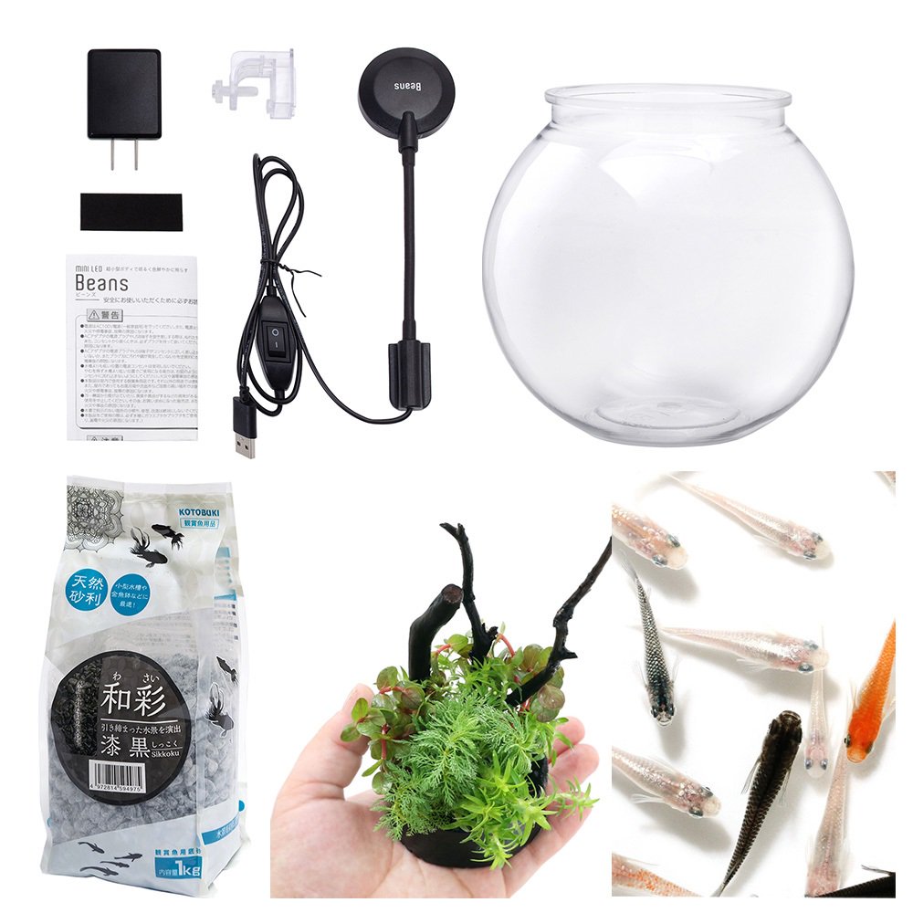 （めだか）（水草）お手軽メダカリウムセット　Ｓ　ブラック　説明書付き　本州四国限定　ＣＲＣ10―11―03―10―10