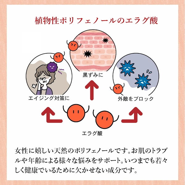 Qoo10] ザクロジュース ざくろ 柘榴 濃縮還元1