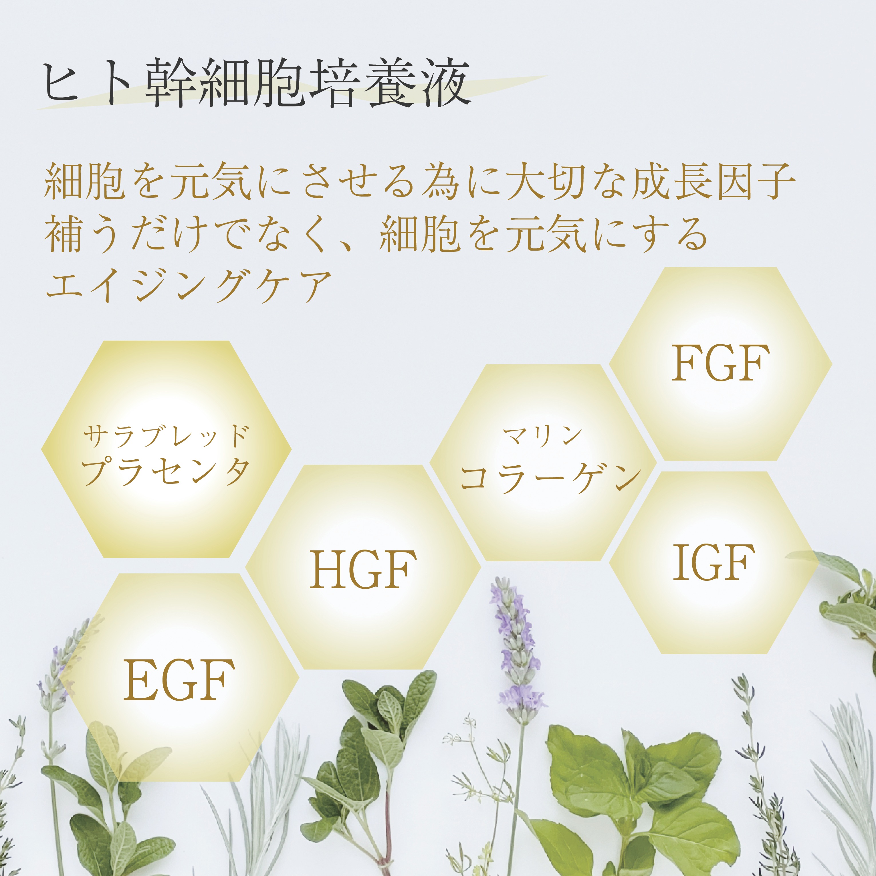 ペルフェクション 美容液 50mL ペルフェクション 美容液 50mL