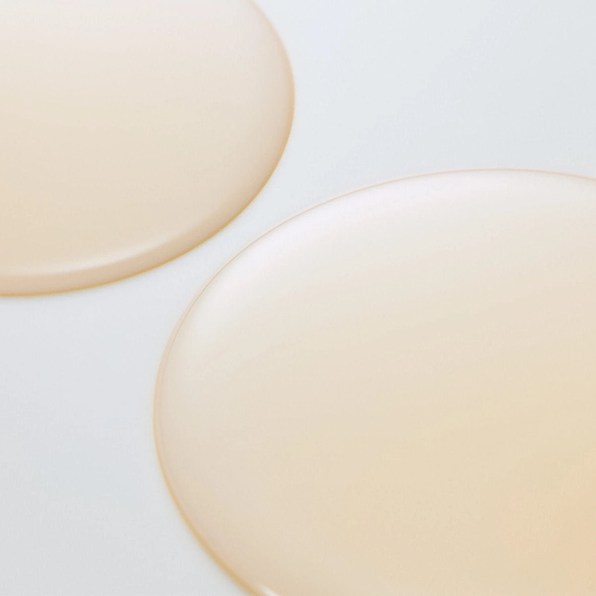 [国内正規品] キギ バイ シエラ オーガニカ リッチモイストシャンプー 2000ml（業務用） シャンプー 天然由来成分97％ 毛先 リッチ 保湿 ダメージ アミノ酸系 γ‐ドコサラクトン ヘマチン