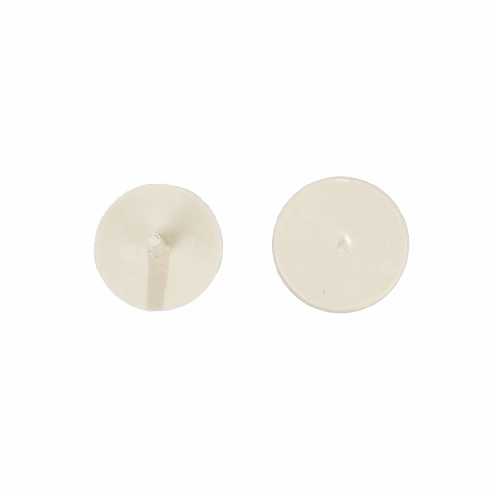 (サンゴ)フラグサンゴ キクメイシsp. イエローサブマリン ポリカプラグ付き(1個)wh‐51 CRC26―50―80―00―00 (サンゴ)フラグサンゴ キクメイシsp. イエローサブマリン ポリカプラグ付き(1個)wh‐51 CRC26―50―80―00―00