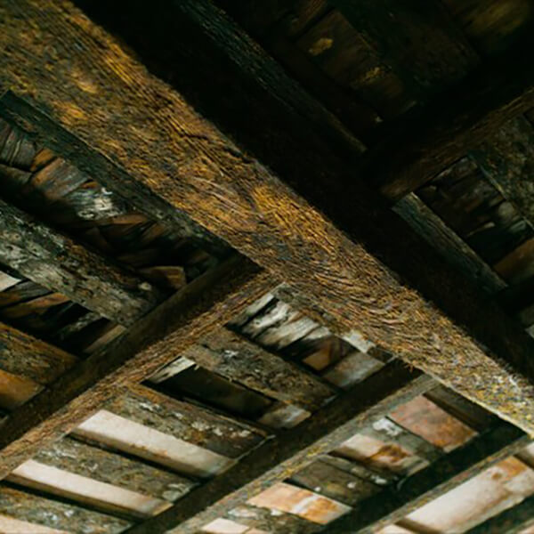 井上醤油店 井上古式じょうゆ 720ml 5本セット 醤油 天然醸造 国産 井上醤油店 井上古式じょうゆ 720ml 5本セット 醤油 天然醸造 国産