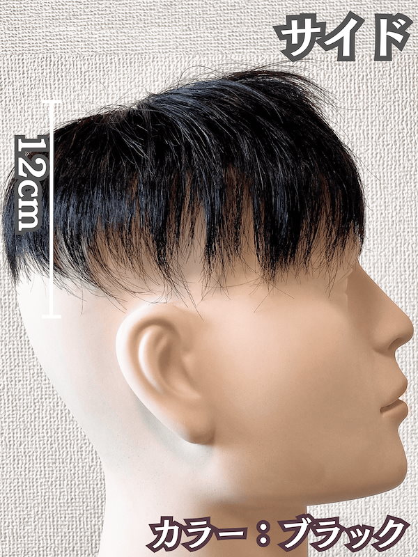 カツラ Qoo10] Luce brillare かつら 男性 メンズ 部分ウィッグ ウィ