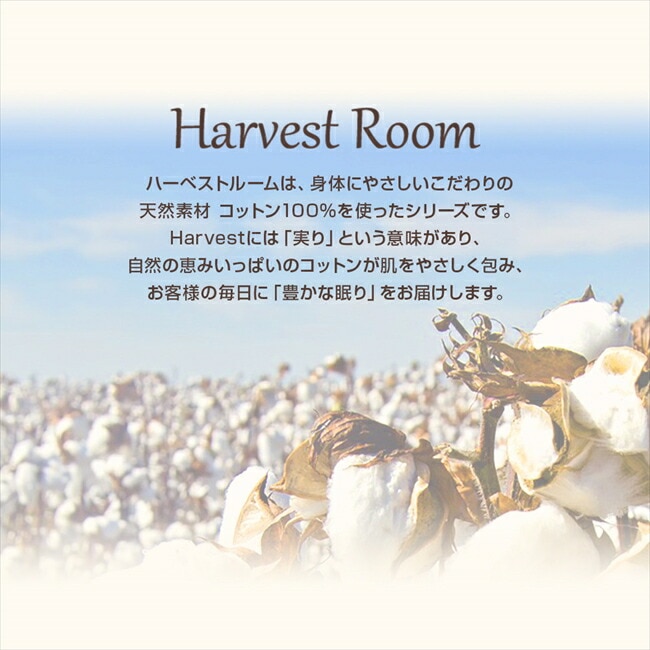 敷きパッド 4人用 240x205cm ファミリー ファミリーサイズ 綿100% コットン 天竺 単品 綿 軽い おしゃれ 着脱簡単 寝具 杢カラー くすみカラー 通年 HarvestRoom 敷きパッド 4人用 240x205cm ファミリー ファミリーサイズ 綿100% コットン 天竺 単品 綿 軽い おしゃれ 着脱簡単 寝具 杢カラー くすみカラー 通年 HarvestRoom
