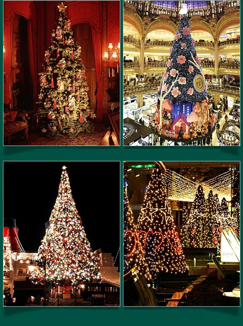 イベント用品 クリスマスリース ドライ リース ドライフラワー リース クリスマス 玄関 部屋 北欧 イベント用品 クリスマスリース ドライ リース ドライフラワー リース クリスマス 玄関 部屋 北欧