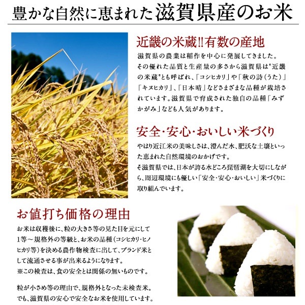 滋賀県産100% : 米・雑穀 近江米30kg5kg6... 人気限定品