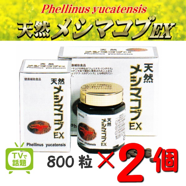 お得な2個セット 天然メシマコブEX 800粒2個 メシマコブ　霊芝 アガリクス 免疫 話題のメシマコブ 天然 サプリメント Phellinus yucatensis