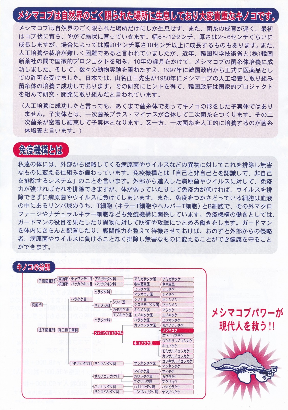 お得な2個セット 天然メシマコブEX 800粒2個 メシマコブ　霊芝 アガリクス 免疫 話題のメシマコブ 天然 サプリメント Phellinus yucatensis