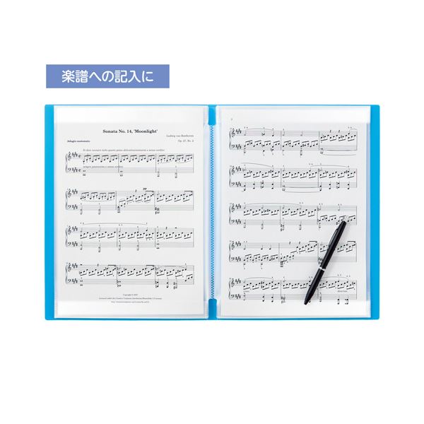 リヒトラブ CUBE FIZZ書き込めるクリヤーブック A4タテ 20ポケット ベージュ N-6005-16 1セット(10冊)