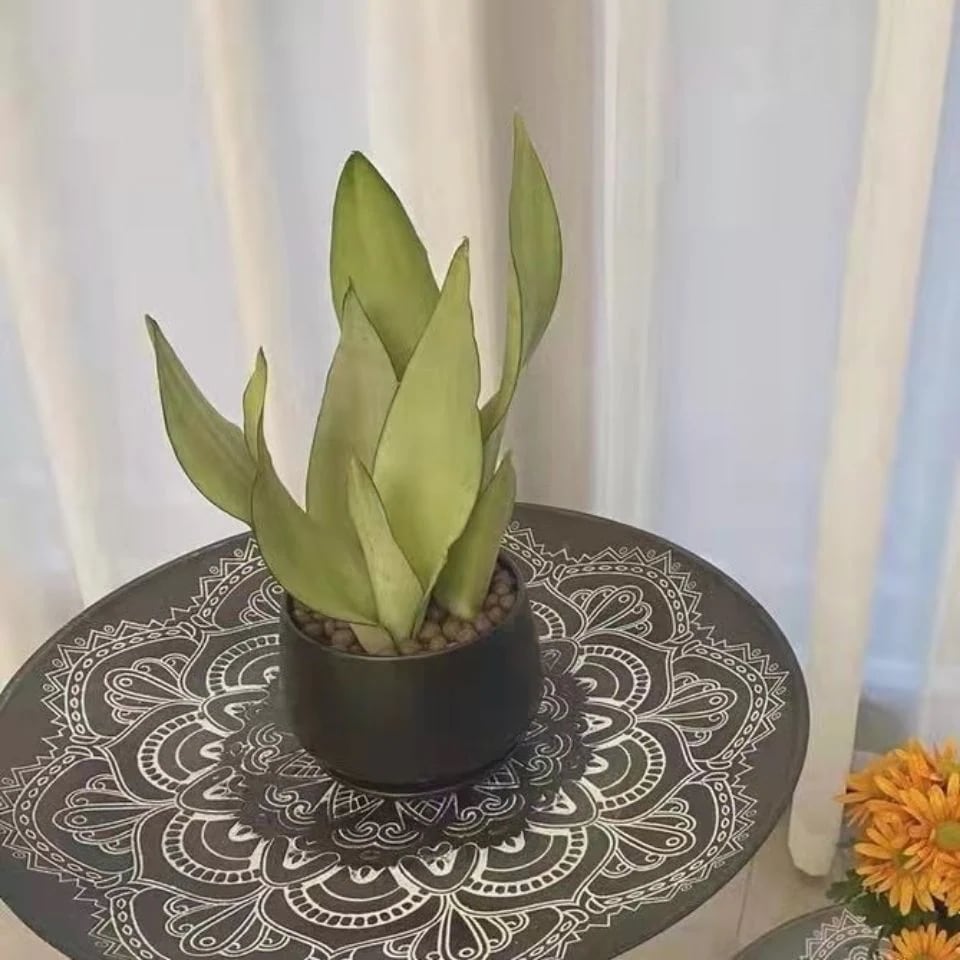 【本日のイベント】激安販売!40cm 欧風ラウンドソファベッドサイドテーブル 北欧insティーテーブル 【本日のイベント】激安販売!40cm 欧風ラウンドソファベッドサイドテーブル 北欧insティーテーブル