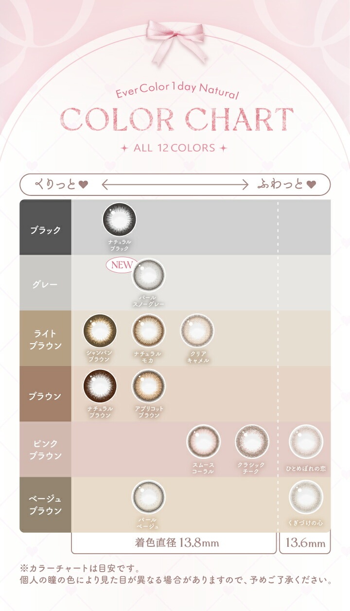 エバーカラーワンデー ナチュラル 20枚入2箱 / メール便