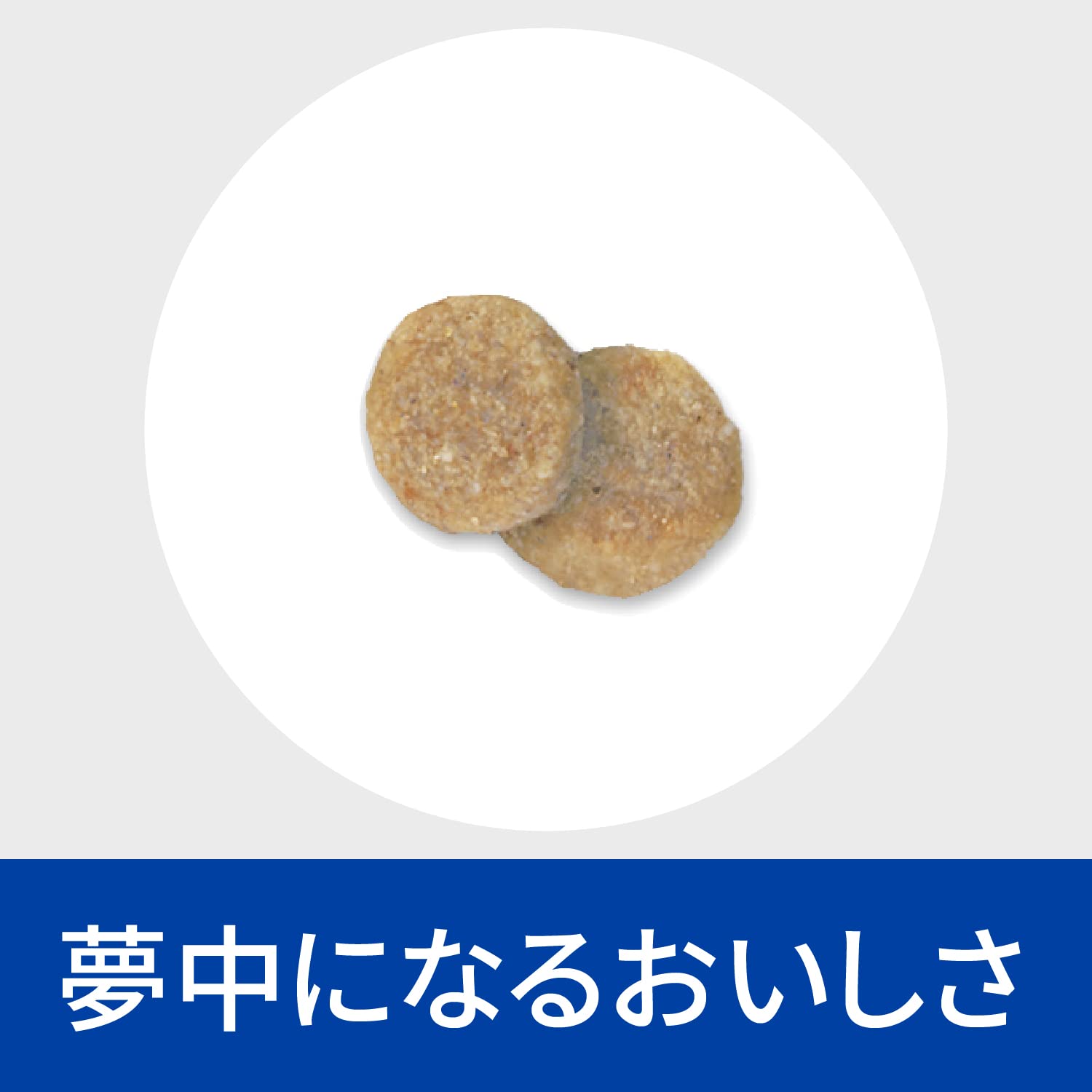 ヒルズ プリスクリプションダイエット ドッグフード ドライ k/d ケイディー チキン入り 腎臓ケア 犬用 特別療法食 1kg