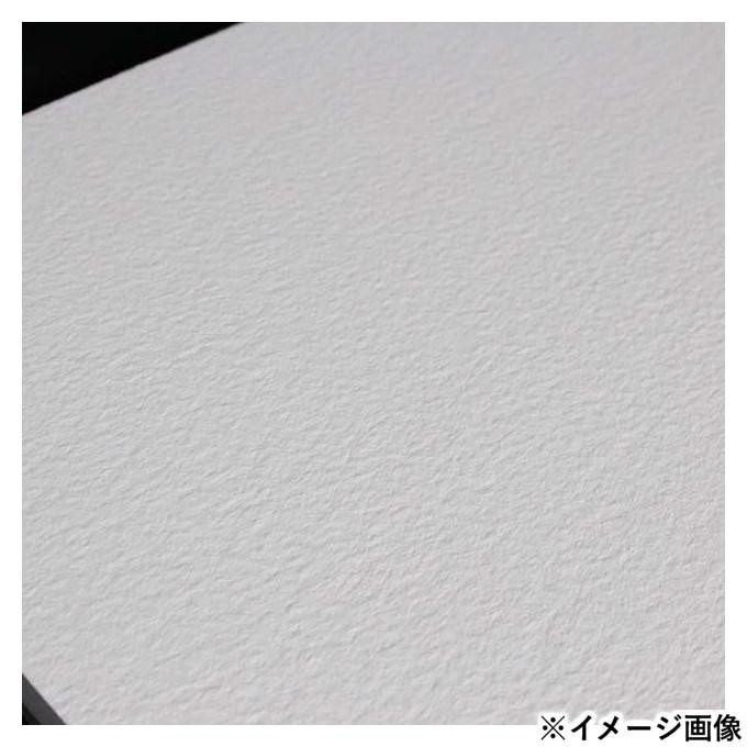 ラングトン プレステージ 荒目ブロック 水彩紙 PBR-20 ラングトン プレステージ 荒目ブロック 水彩紙 PBR-20