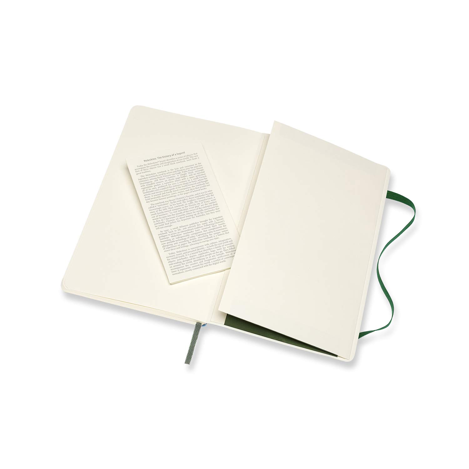 モレスキン(Moleskine) ノート クラシック ノートブック ソフトカバー 無地 ラージサイズ(横13cm×縦21cm) マートルグリーン QP618K15