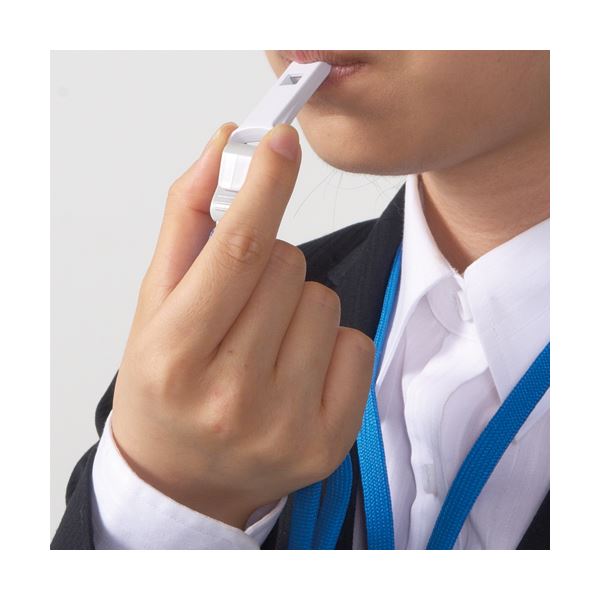 ライオン事務器 つりさげチャック式名札レスキュー名札 平ひも イエロー N-77FR（Y） 1セット（10個） (×10セット)