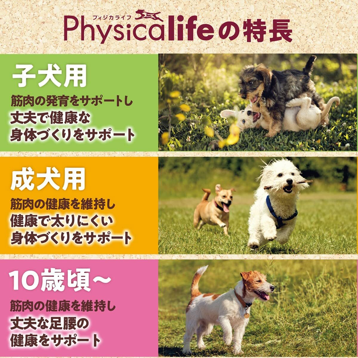 【プレゼント付】フィジカライフ (Physicalife) 成犬用 チキン&大豆入り 2kg 2個セット【犬想いオリジナル今治ハンドタオルセット】【タオルカラー ネイビー】 【プレゼント付】フィジカライフ (Physicalife) 成犬用 チキン&大豆入り 2kg 2個セット【犬想いオリジナル今治ハンドタオルセット】【タオルカラー ネイビー】