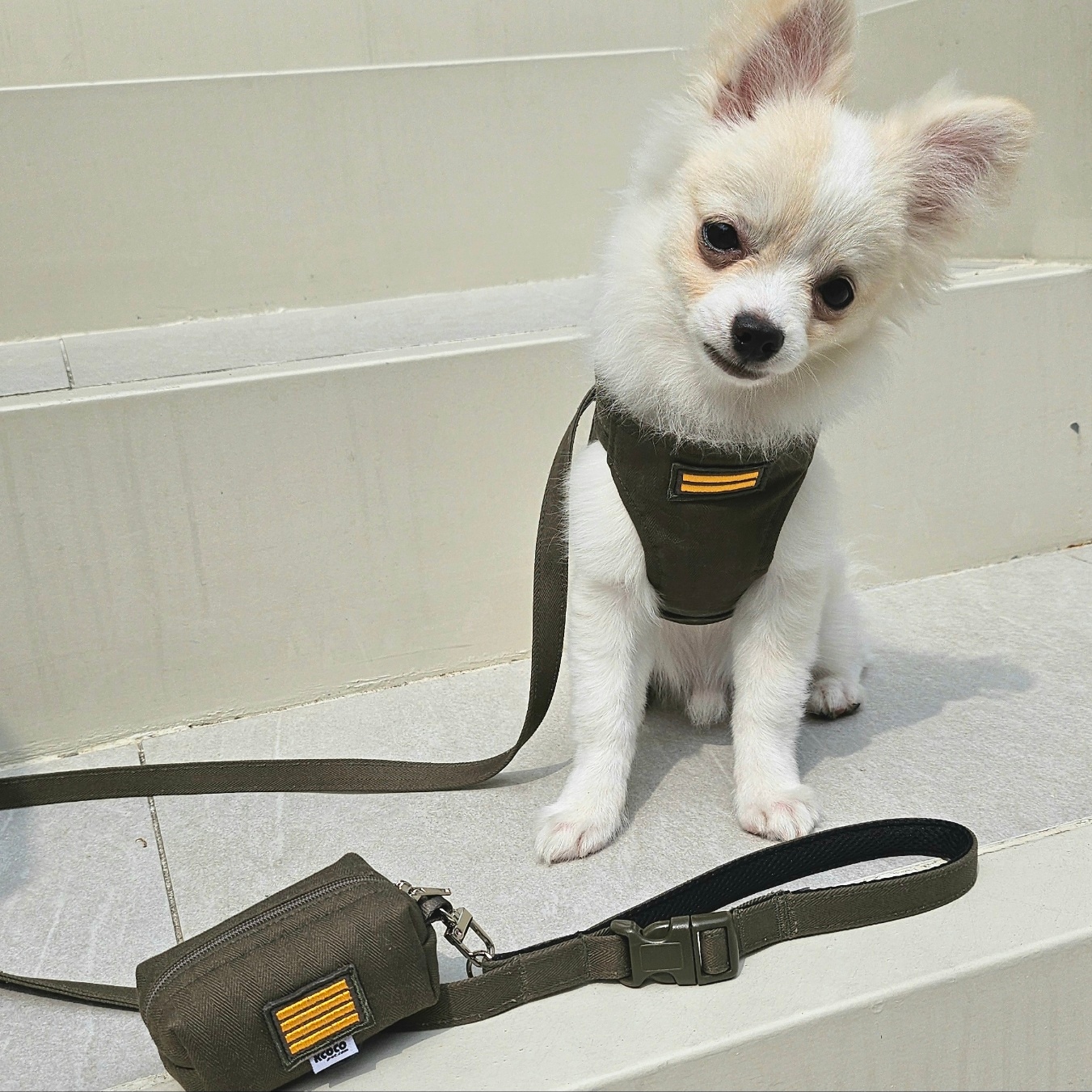 【3set】ARMY Harness + Lead&Pouch(アーミーハーネス＋リード＋ポーチ)　お散歩グッズ　韓国グッズ　ドッググッズ　犬用品　ペット用品　愛犬グッズ　ハンドメイド