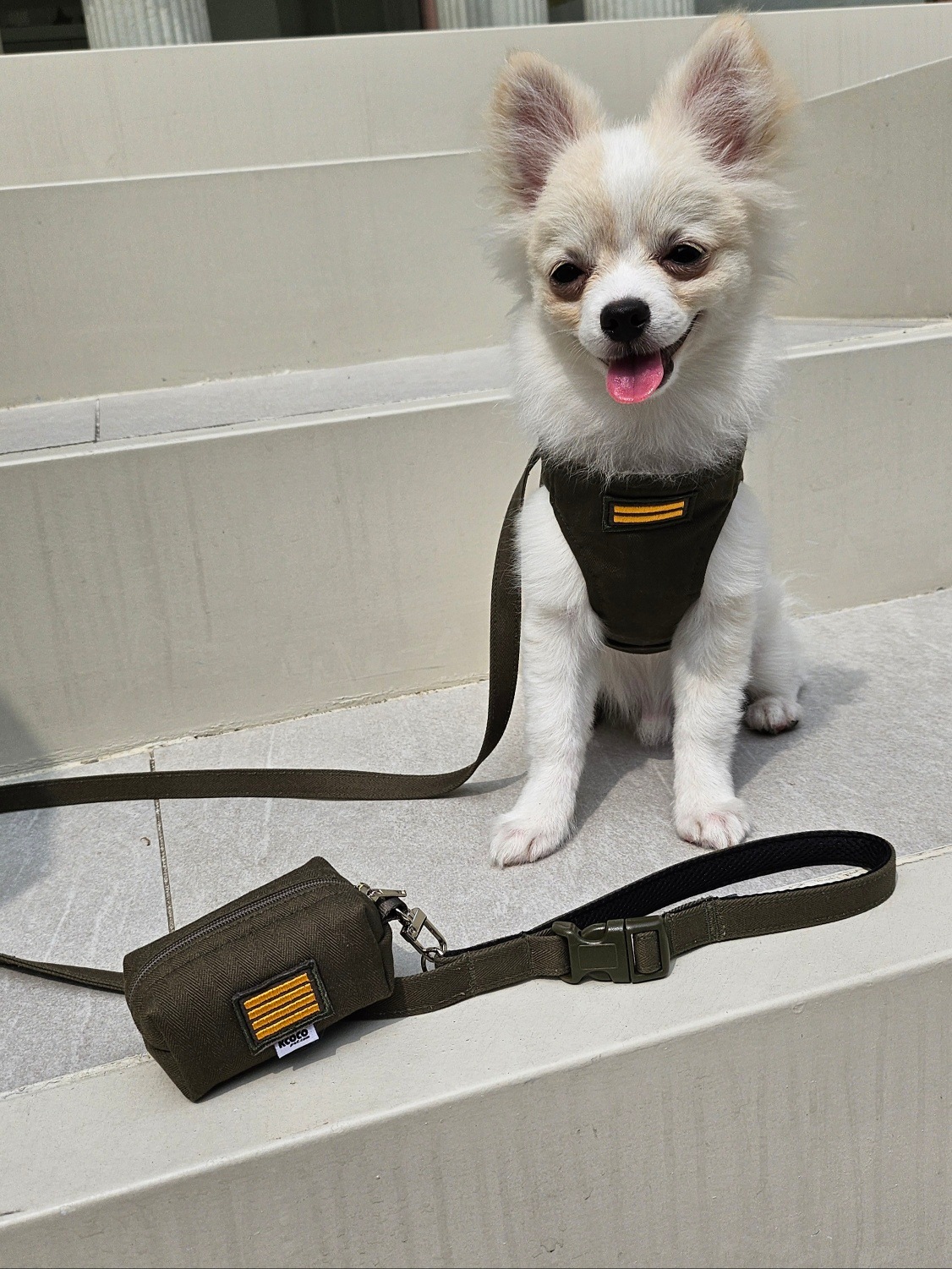 【3set】ARMY Harness + Lead&Pouch(アーミーハーネス＋リード＋ポーチ)　お散歩グッズ　韓国グッズ　ドッググッズ　犬用品　ペット用品　愛犬グッズ　ハンドメイド