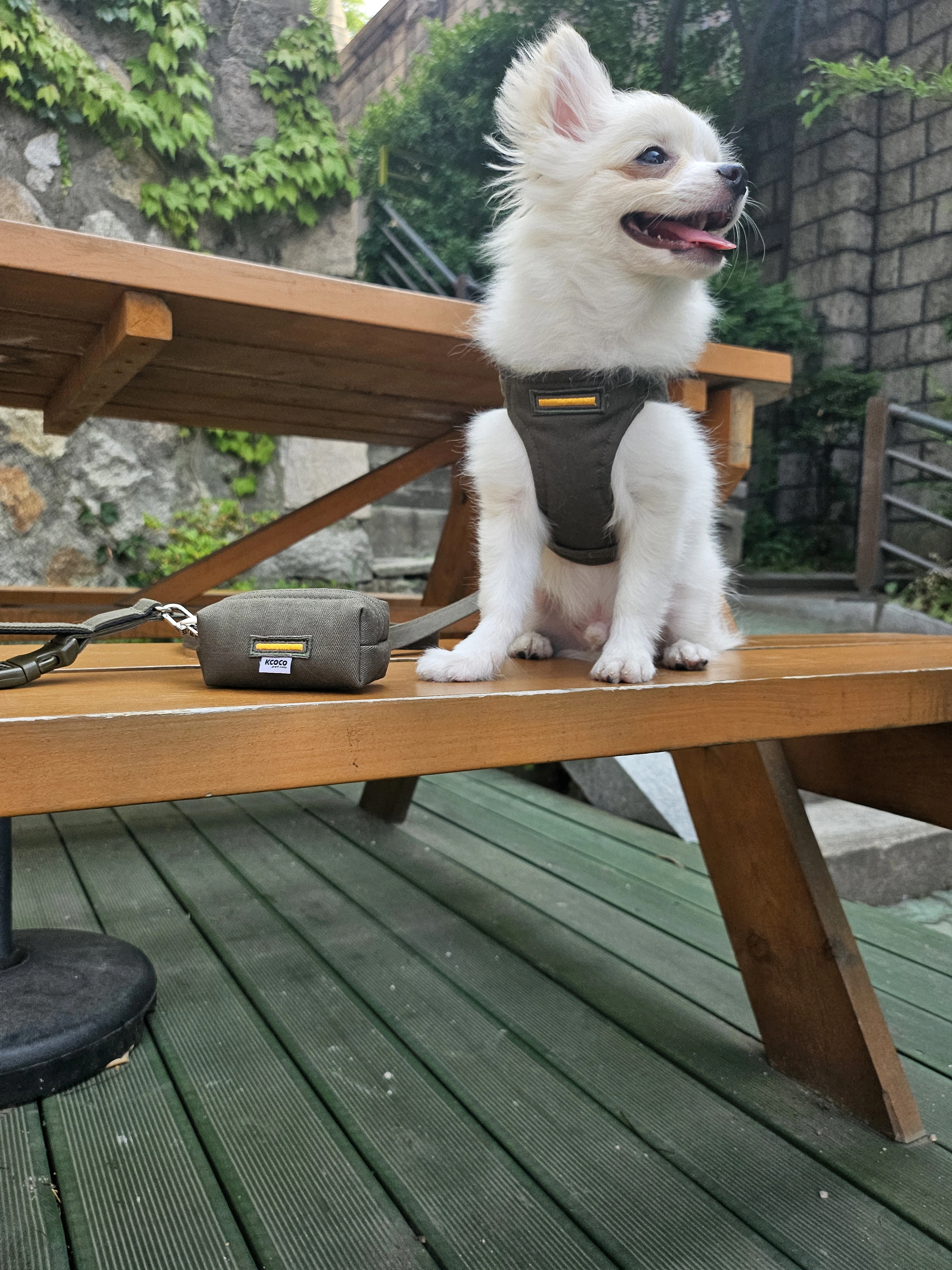 【3set】ARMY Harness + Lead&Pouch(アーミーハーネス＋リード＋ポーチ)　お散歩グッズ　韓国グッズ　ドッググッズ　犬用品　ペット用品　愛犬グッズ　ハンドメイド