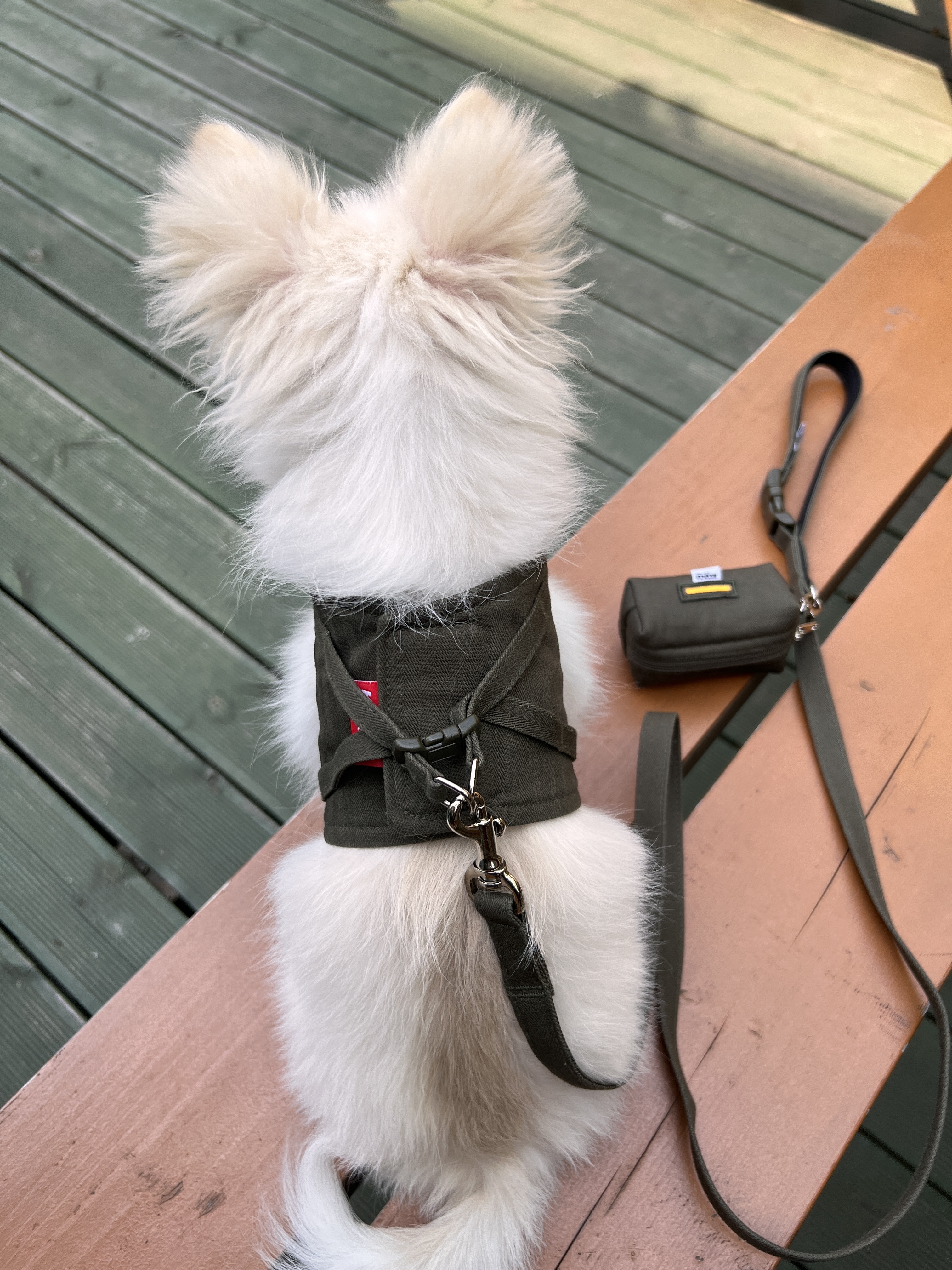 【3set】ARMY Harness + Lead&Pouch(アーミーハーネス＋リード＋ポーチ)　お散歩グッズ　韓国グッズ　ドッググッズ　犬用品　ペット用品　愛犬グッズ　ハンドメイド