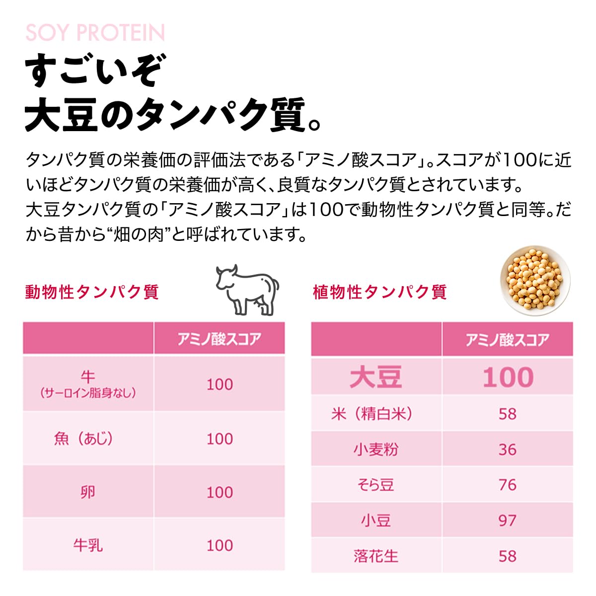 大塚製薬 ソイジョイ イチジク&レーズン 30g x 48個 大塚製薬 ソイジョイ イチジク&レーズン 30g x 48個