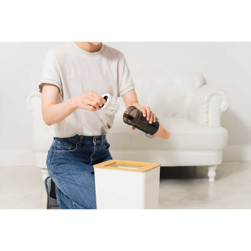 三洋テック　スティック型コードレスクリーナー ［紙パックレス式］　WTA01-P