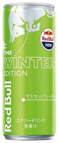 レッドブル エナジードリンク 250ml×48本 冷たい 2ケース 送料