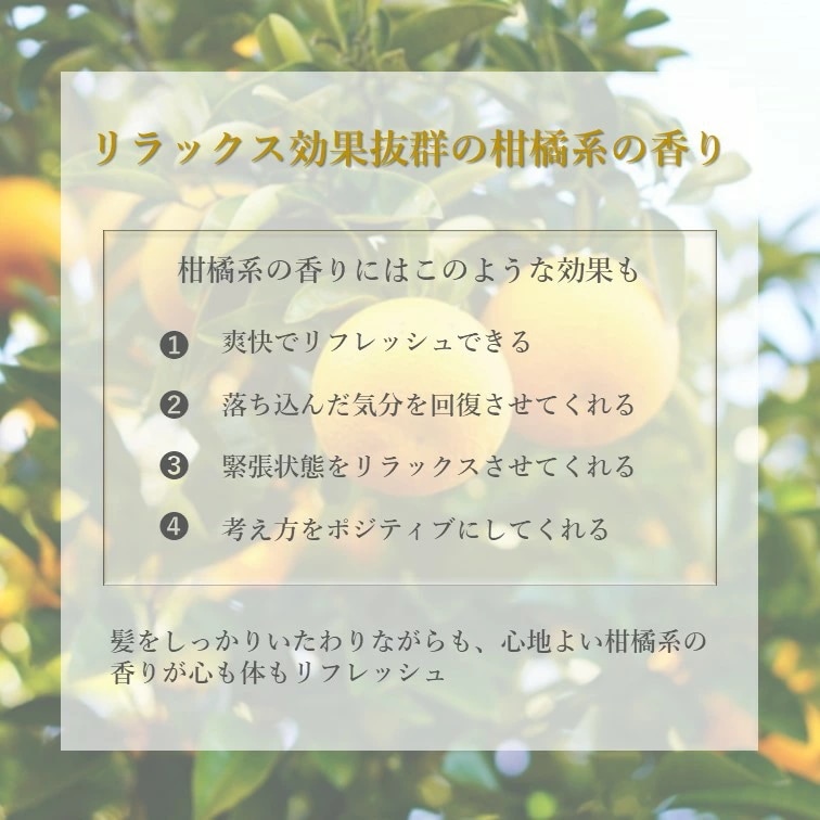 MA-inichiS SHAMPOマイニチシャンプー1000mlシャンプー詰替えレフィル MA-inichiS SHAMPOマイニチシャンプー1000mlシャンプー詰替えレフィル