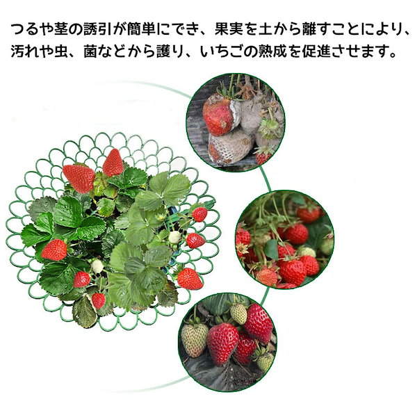 イチゴ15個 Qoo10] イチゴ棚 いちごプランター棚 15個セッ