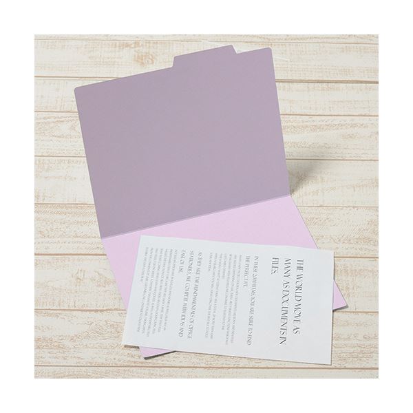 （まとめ）プラス 個別フォルダー エコノミータイプA4 バイオレット FL-082IF 1パック(50冊)(×5セット)