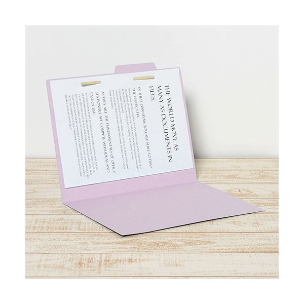 （まとめ）プラス 個別フォルダー エコノミータイプA4 バイオレット FL-082IF 1パック(50冊)(×5セット)