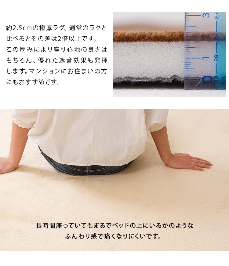極厚低反発ラグ 200300cm 長方形 無地 滑り止め付 ホットカーペット対応 低反発 抗菌 防ダニ 撥水 遮音効果 北欧 リビング ラグ ラグマット カーペット マット 絨毯 ラグカーペット