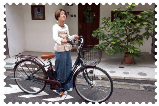 電動自転車LUPINUS bySUISUI(ルピナスバイスイスイ) 楽天市場】【東京・神奈川・大阪送料無料！】【完成品配送】電動